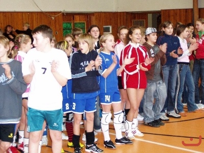 Miinivolejbal