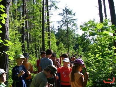 Škola v přírodě 2.B a 3.A