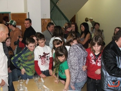 Pohni kostrou