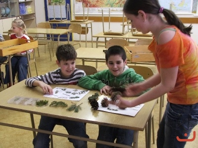 Projekt přírodovědného kroužku 