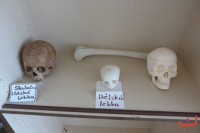 Týden Země
