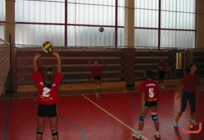 opvolejbal