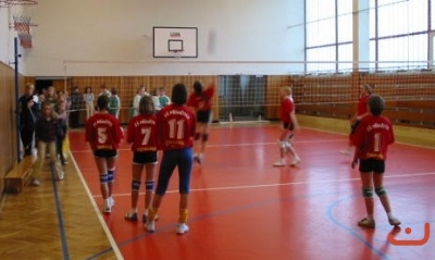 opvolejbal