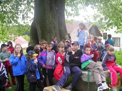 SvP3A5A