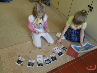 Montessori 2. čtvrtletí