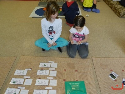 Montessori 2. čtvrtletí