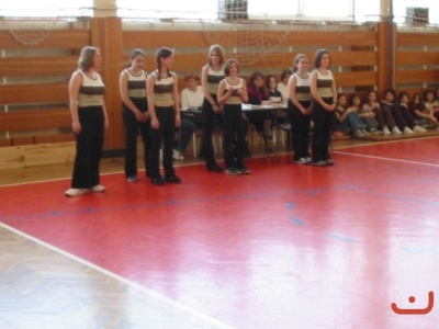 pohnikostrou