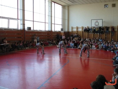 pohnikostrou