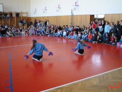 pohnikostrou