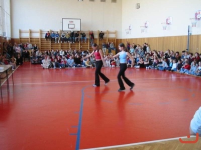 pohnikostrou
