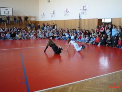 pohnikostrou
