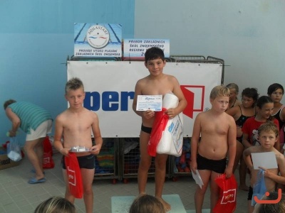 Plavecké závody