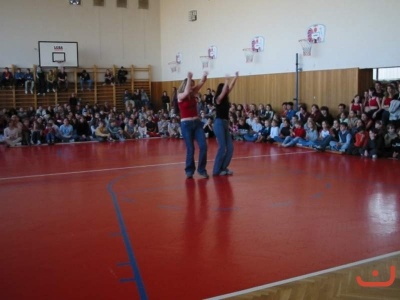 pohnikostrou