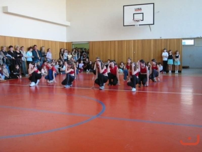 pohnikostrou