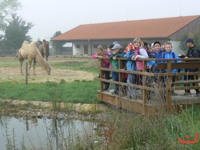 Exkurze 3. tříd do Dinoparku