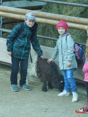 Exkurze 3. tříd do Dinoparku