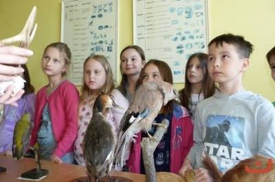 Týden Země