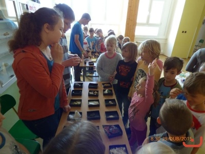 Montessori - duben - květen