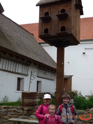 Výlet 1.B a Montessori