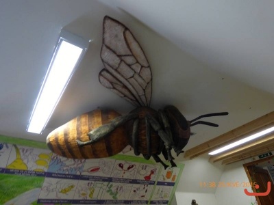 Výlet 1.B a Montessori