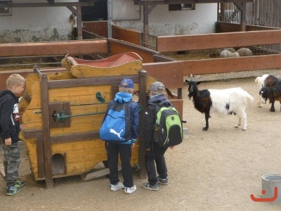 Výlet 1.B a Montessori