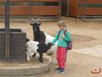 Výlet 1.B a Montessori