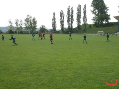 mcdonaldcup