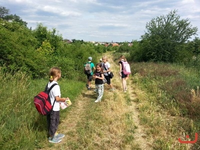 Monte - duben-červen
