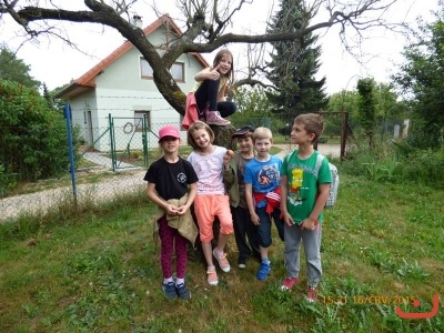 Monte - duben-červen