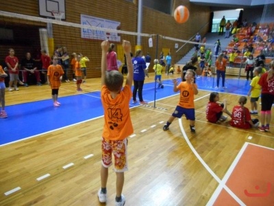 Kvalifikace minivolejbal