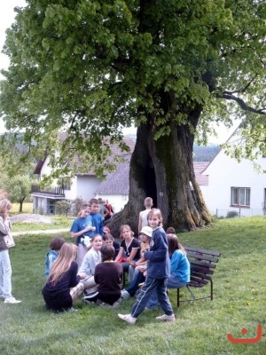 SvP3A5A5B