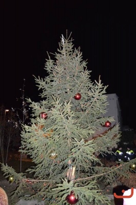 Rozsvícení Vánočního stromu 2016