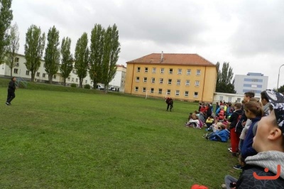 DensPolicii_40