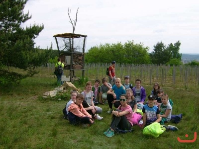PRIRUCKA_4