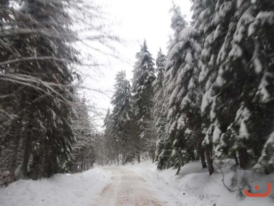 destna_10