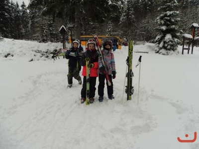 destna_12