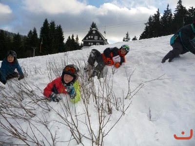 destna_116