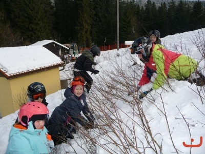 destna_117