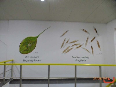 vodarna_19