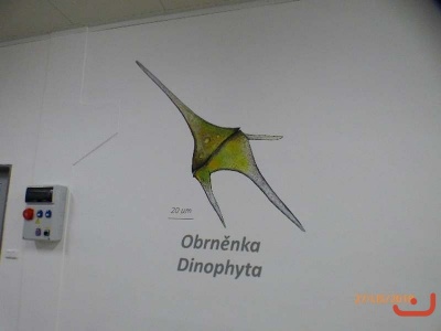 vodarna_22