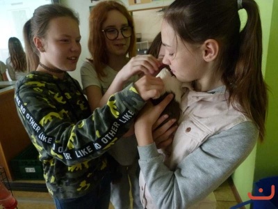 dilnicky_26