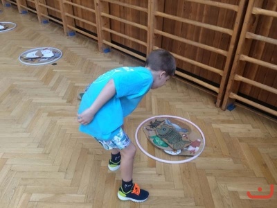 pripravka_12