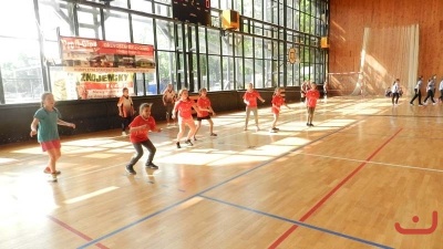 vybijena_40