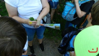 Janov_196