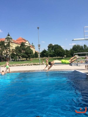 Louka_15