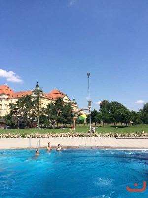 Louka_22