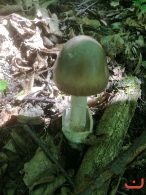 Podhradi_69