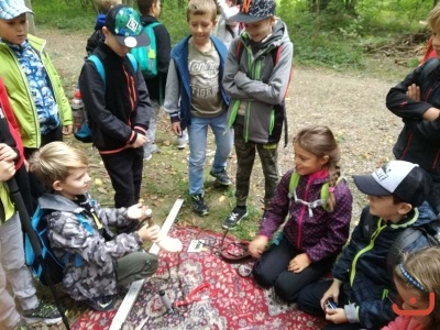 lesni pedagogikca_2