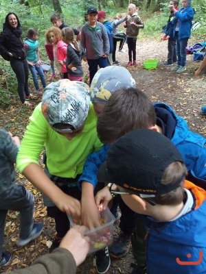 lesni pedagogikca_34
