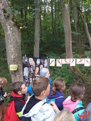 lesni pedagogikca_45